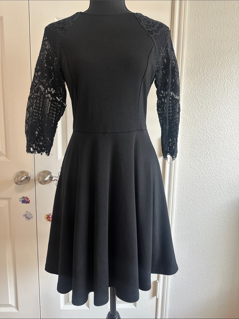Pinkblush Black Lace-Sleeve Fit & Flare Dress